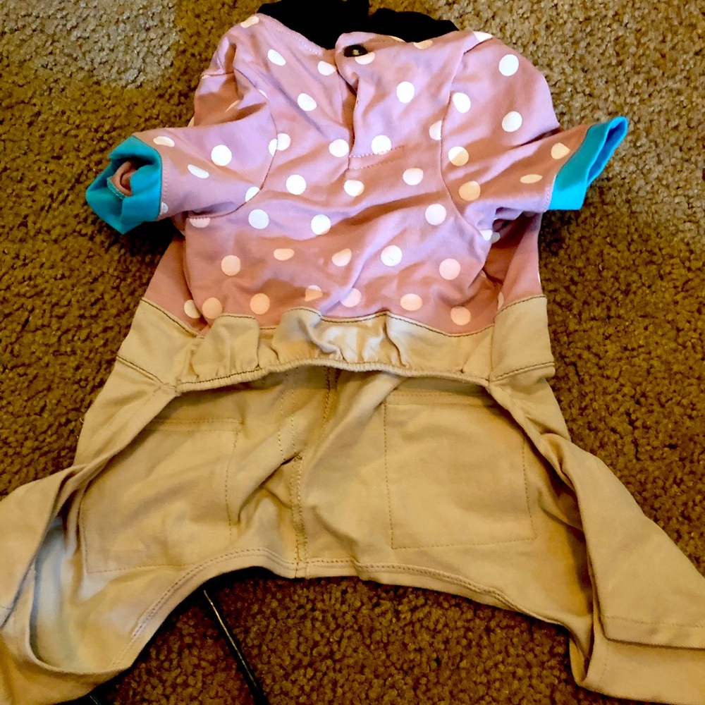 Small/Large dog outfit!
